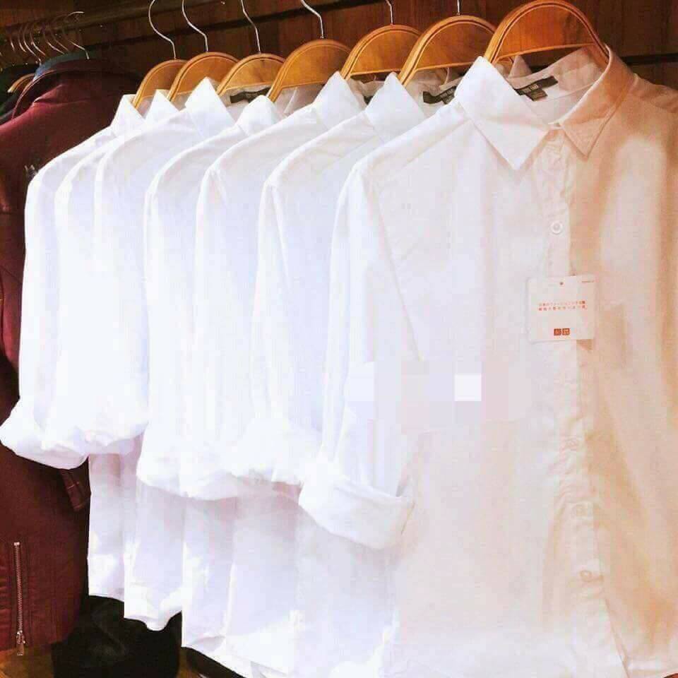 Combo  áo sơ mi nữ Thuy Phạm