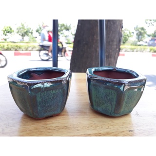 Chậu trồng cây mini