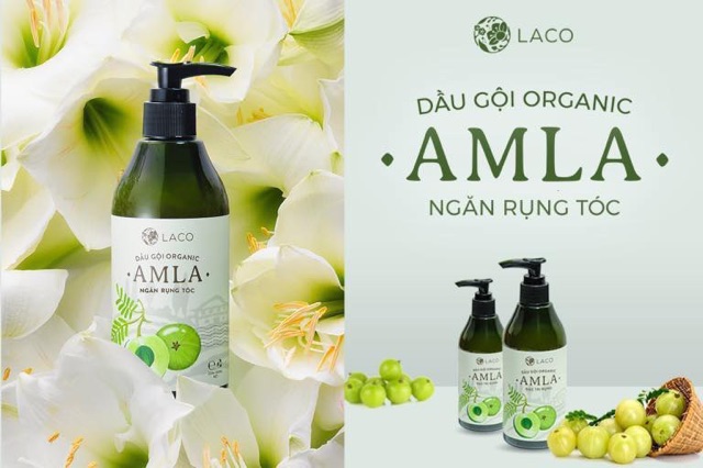 [SẢN PHẨM BÁN CHẠY] Dầu Gội Trị Rụng Tóc AMLA - CAM KẾT HÀNG CHÍNH HÃNG 💯💯