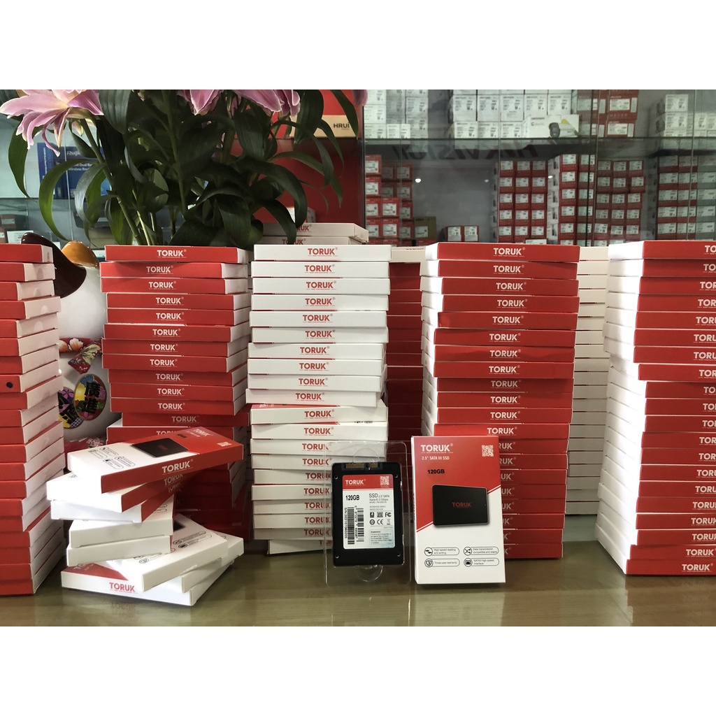 Ổ SSD 120GB - 240GB TORUK bền bỉ , mạnh mẽ , hiệu suất cao , sản phẩm chính hãng bảo hành 36 tháng | BigBuy360 - bigbuy360.vn