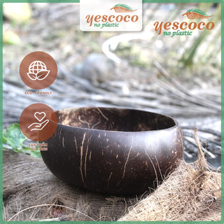 SET 03 Bát Gáo Dừa Sinh tố, kem, Papaya| YESCOCO XƯỞNG SẢN XUẤT