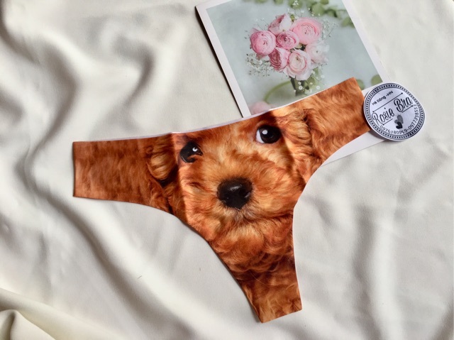 Quần Lót Lọt Khe Không Đường May Hoạ Tiết Mèo P130