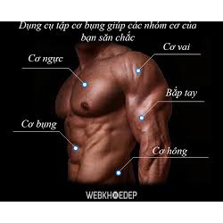 Con lăn tập bụng gym 4 bánh,con lăn tập cơ bụng dùng cho cả vđv chuyên nghiệp