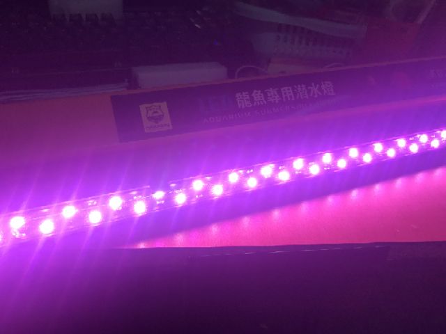 [Mã PET50K giảm Giảm 10% - Tối đa 50K đơn từ 250K] Đèn led 2 hàng bóng cho hồ cá 55cm/75cm/92cm