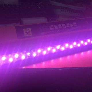 Đèn led 2 hàng bóng cho hồ cá 55cm/75cm/92cm