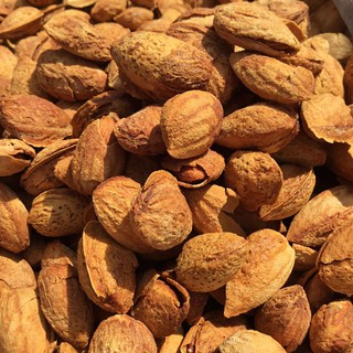 HẠNH NHÂN RANG BƠ VỎ MỎNG TÚI 500GRAM