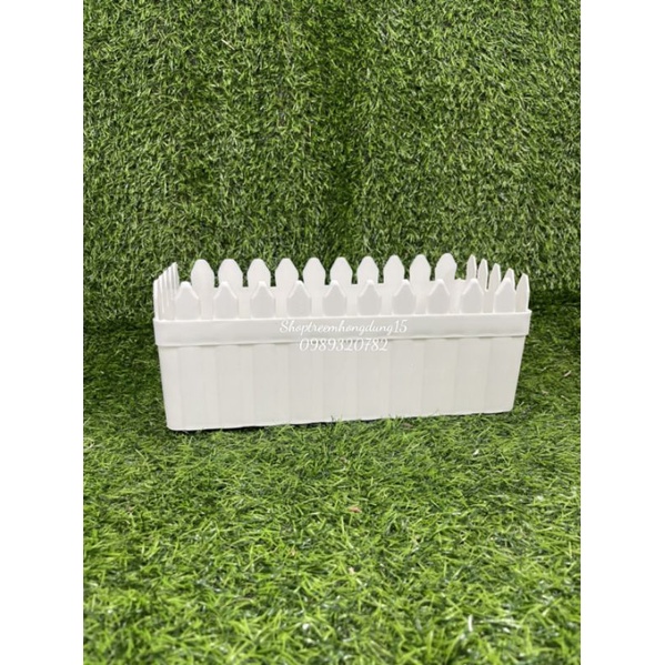 Combo 10 chậu hàng rào  size 20*11cm trồng cây cực đẹp