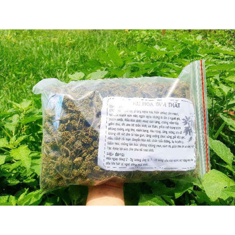 Nụ Hoa Tam Thất Khô (Ảnh Thật 100%)