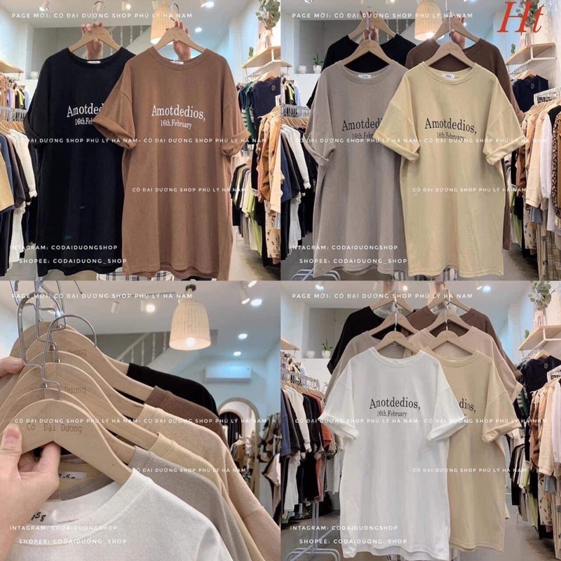 Áo phông AMOT HT11