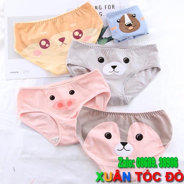 SỈ ZALO RẺ HƠN NHIỀU_ Quần Lót Mặt Loài Vật 5 Kiểu Siêu Dễ Thương 5070