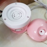 Máy Xông Mặt Hoa Quả Thảo Dược
