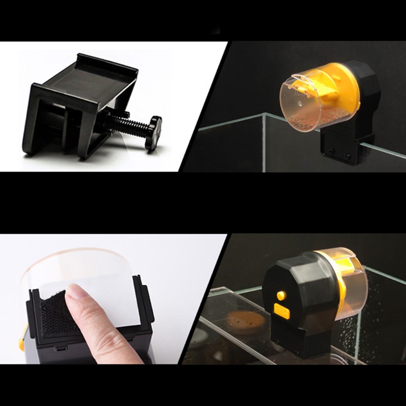 Máy cho cá ăn hẹn giờ tự động tiện lợi tặng kèm pin