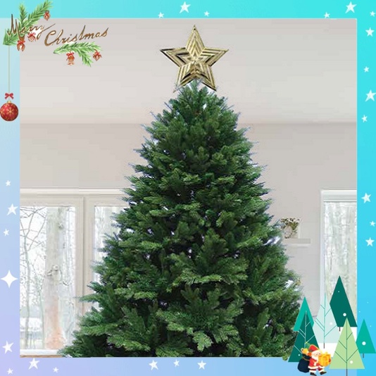 Cây thông noel PE 2m1 - cây thông noel tự động bung nhánh tặng ngôi sao đỉnh trang trí giáng sinh ( LP-PE2)