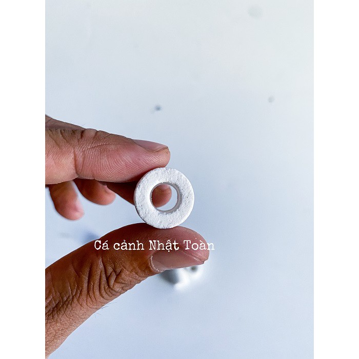 SỨ NHẪN TRƠN VẬT LIỆU LỌC CHO BỂ CÁ CẢNH