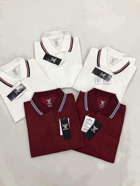 Áo poligan.. | BigBuy360 - bigbuy360.vn