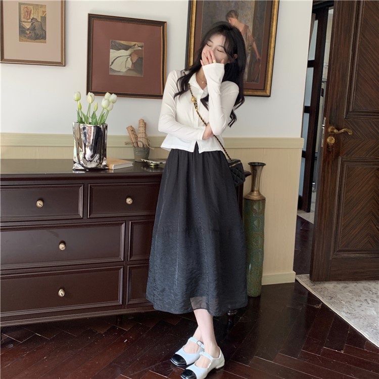 Chân Váy Chữ A Siêu Xinh Chân Váy Công Sở Dài Qua Gối Kiểu Lưới Dễ Thương Vải Voan Có 2 Lớp Mặc Đi Chơi Hay Đi Làm V28