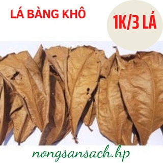 Lá bàng khô tự nhiên - thần dược cá cảnh, lá bàng khô rụng tự nhiên