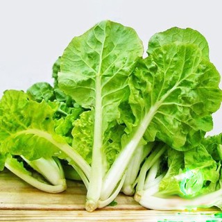 Hạt Giống Cải Bẹ Dún (Brassica juncea) gói 10g