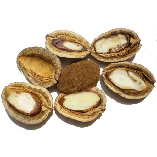 Hạt kơ Nia 500gr loại Đặc Biệt đặc sản núi rừng Tây Nguyên
