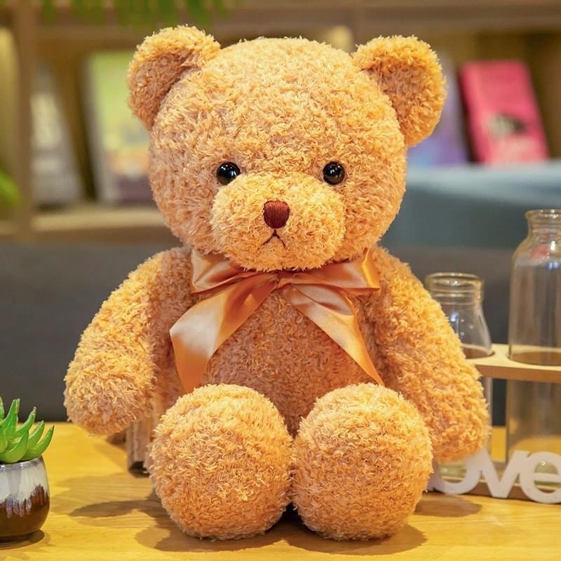 Gấu bông teddy bear lông xù hàng nhập siêu đáng yêu