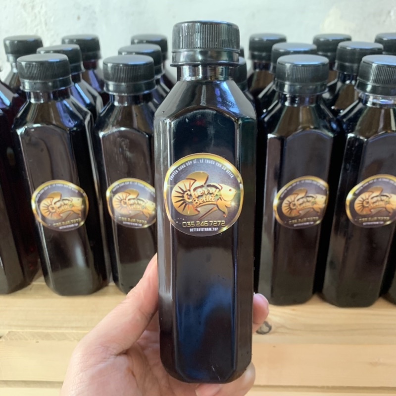 Nước sâm form betta, cá lóc sung khoẻ. Thay thế nước lá bàng