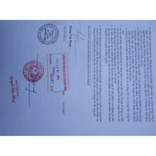 kem body bơ huyền phi dưỡng trắng body