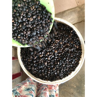 Cà phê hữu cơ rang bếp củi