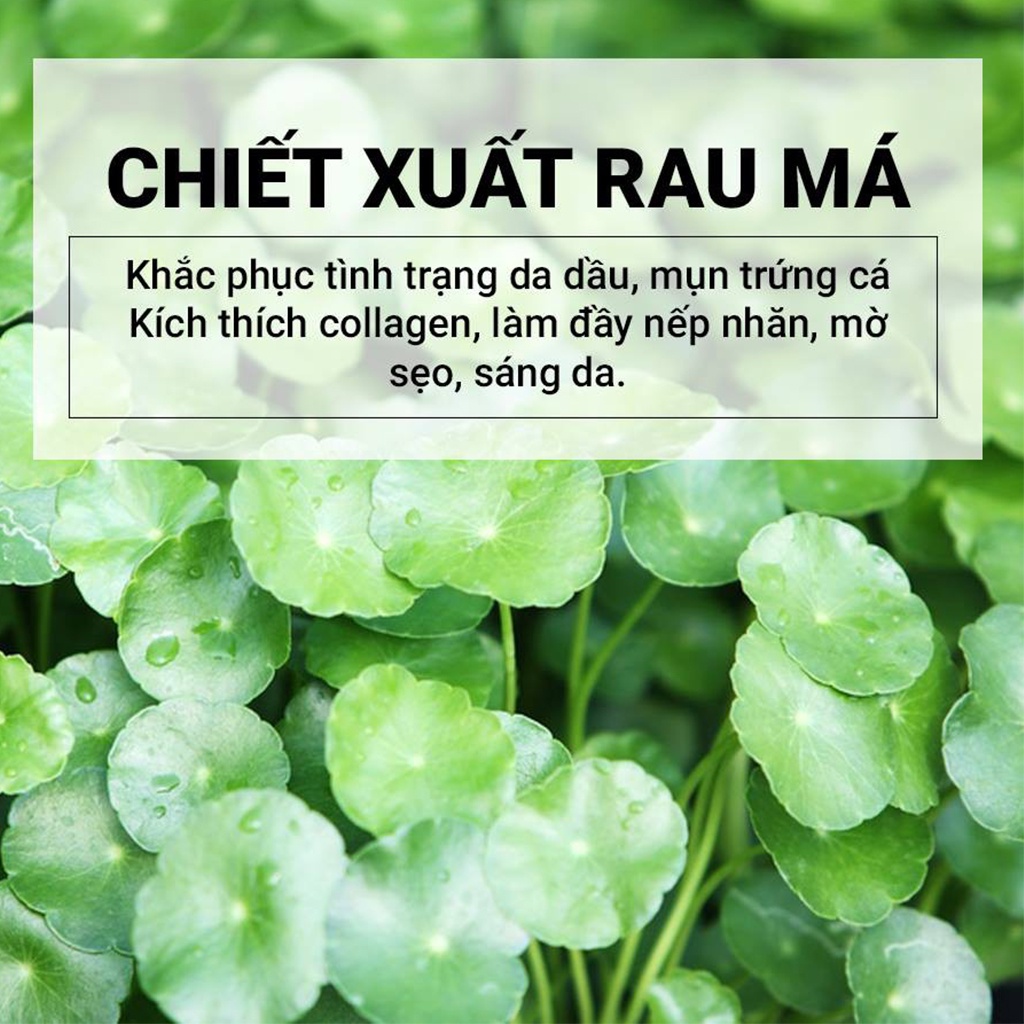 Serum dưỡng ẩm rau má skin 1004 Centella giảm mụn tức thì cải thiện làm mờ thâm phục hồi da khoẻ mạnh – Beauty at home