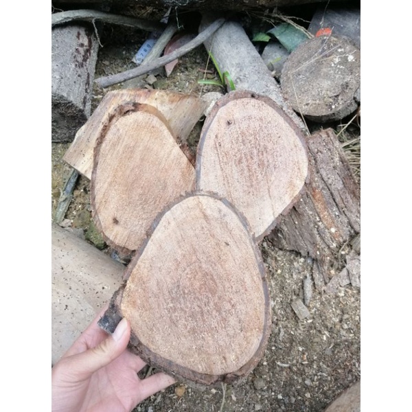 1 bảng gỗ ghép các loại lan
