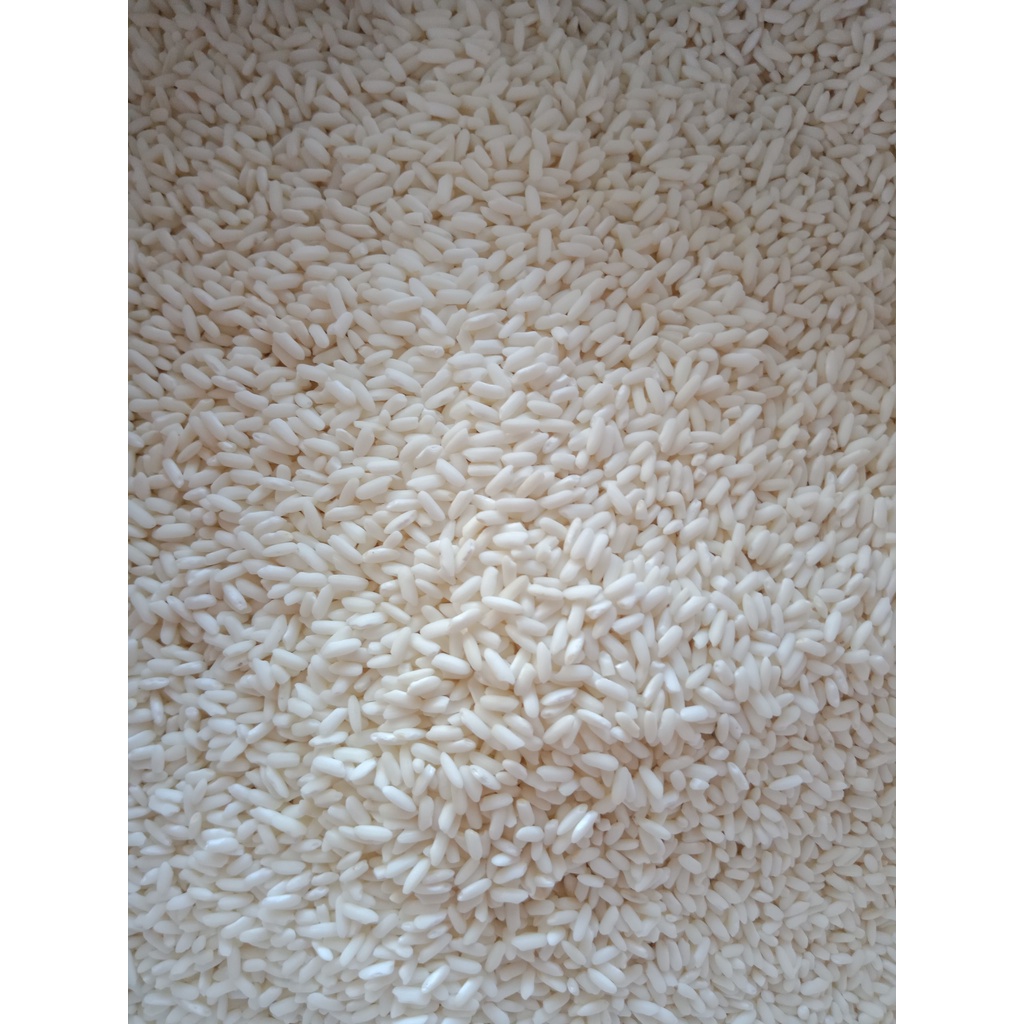 Gạo nếp sáp dẻo, thơm- nếp ngỗng nấu xôi