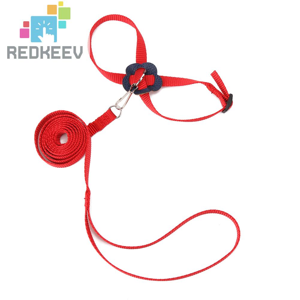 Dây Xích Huấn Luyện Vẹt Có Thể Điều Chỉnh Chống Bay