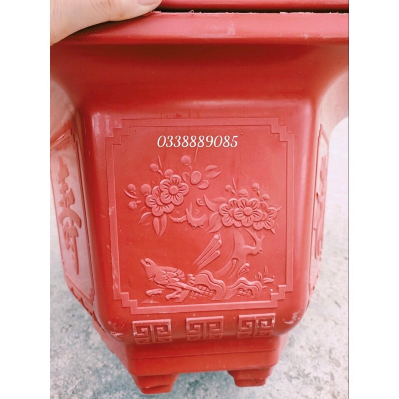 Chậu nhựa lục giác LG330 có  in hình tứ quí trồng cây siêu đẹp - Ảnh thật như hình