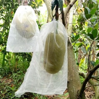 (50 cái) Túi Bao Mít (50x70cm), túi lưới bao trái mít