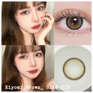 Lens Nâu Tây (1,25 ĐỘ)