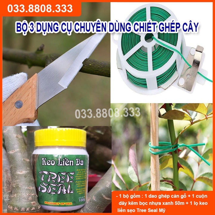 BỘ DỤNG CỤ  CHUYÊN GHÉP UỐN CÂY ( DAO GẬP CÁN GỖ - DÂY XANH 50M- KEO GHÉP CÂY TREE SEAL 100ML)