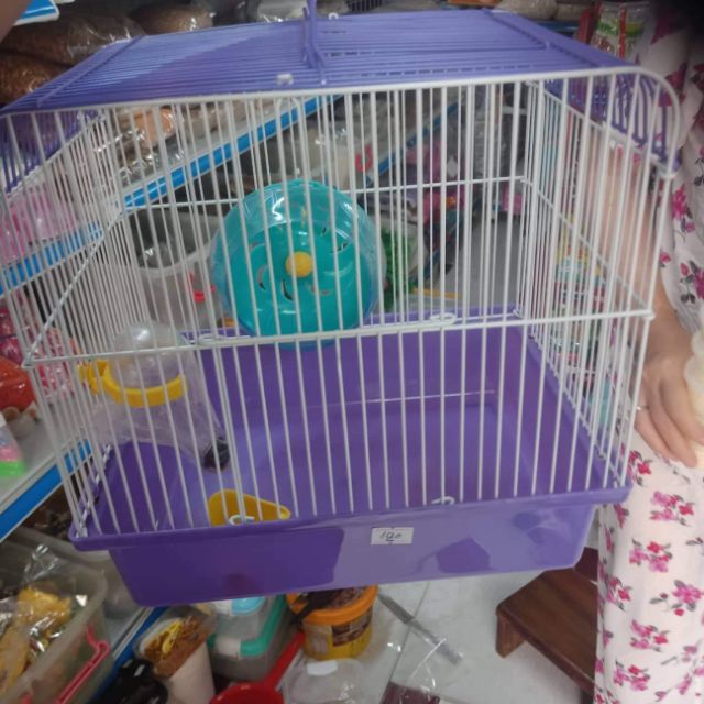 Lồng tím mộng mơ