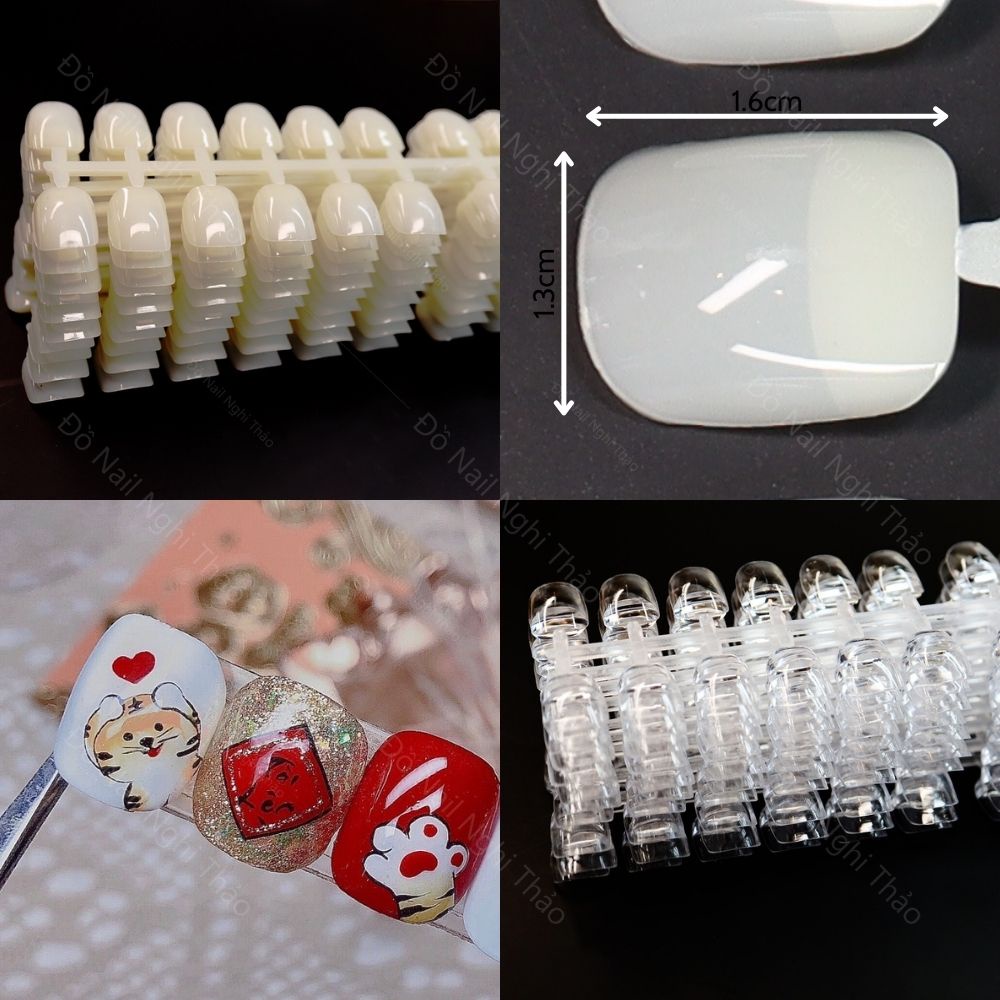 Móng mẫu vuông tập vẽ form Hàn Quốc JELIVA