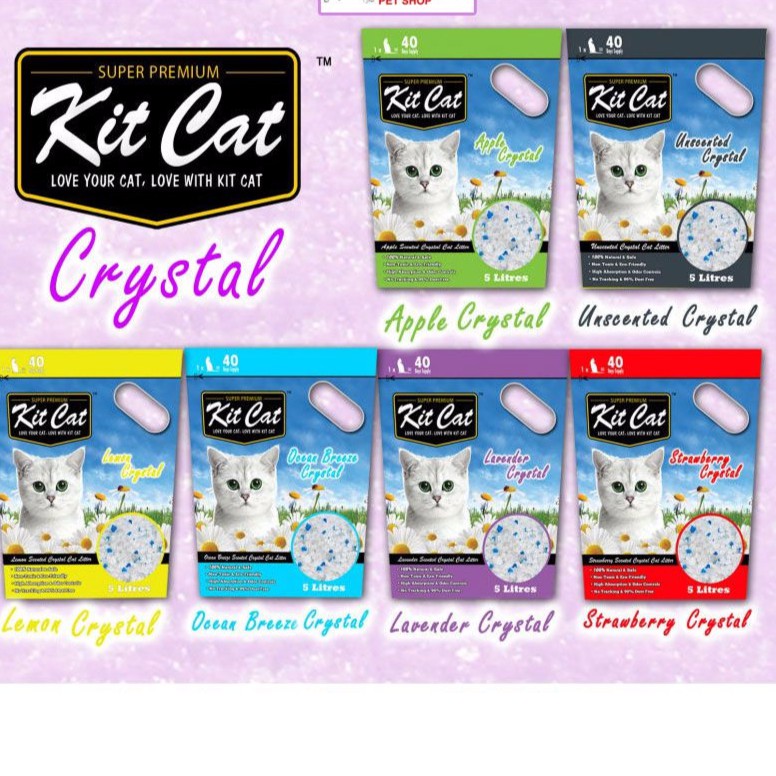 [BÁN CHẠY] CÁT THỦY TINH KIT CAT