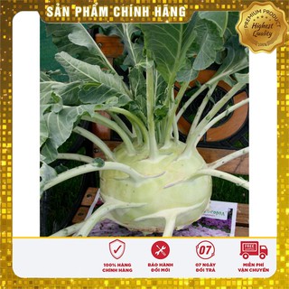 Hạt giống su hào xanh