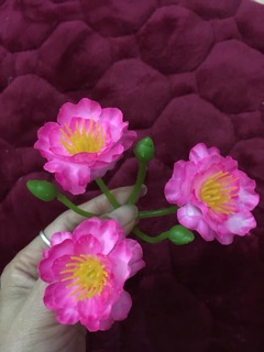 1 Lạng bông đào