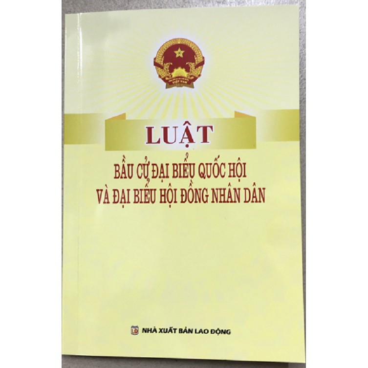 Sách - Luật bầu cử đại biểu quốc hội và đại biểu hội 
đồng nhân dân  | BigBuy360 - bigbuy360.vn