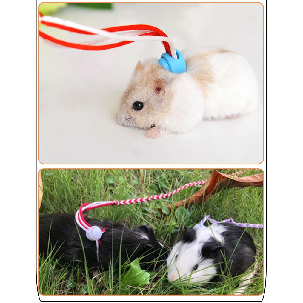 dây dắt hamster - sóc - thỏ - bọ bằng vải