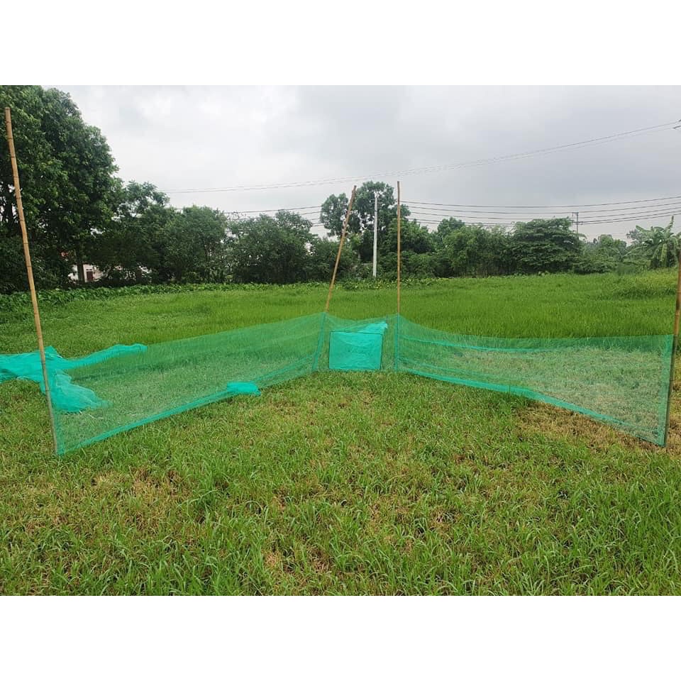 Đăng chặn sông, cống - bắt tôm tép tất cả các loại cá - Dớn bắt cá, cua, lươn 30/50