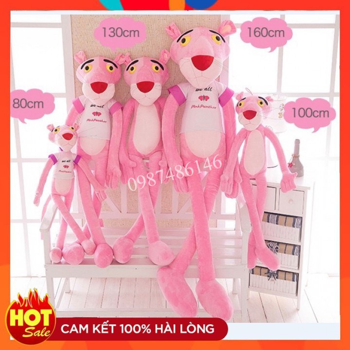 Báo Hồng Áo Trắng Bông Cao Cấp  Đủ size