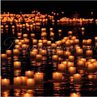 Đèn thả hoa đăng,đèn trang trí
