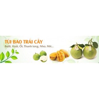 100 Túi bọc Bưởi kích thước 25×30