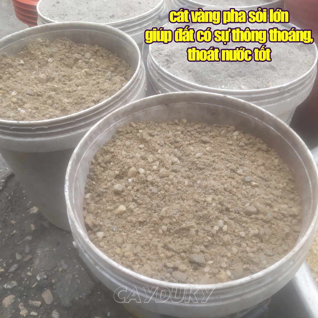 1 kg đất sạch trồng cây cảnh mini (Hỗn hợp đất trộn TRIBAT trồng rau sạch trong chậu)