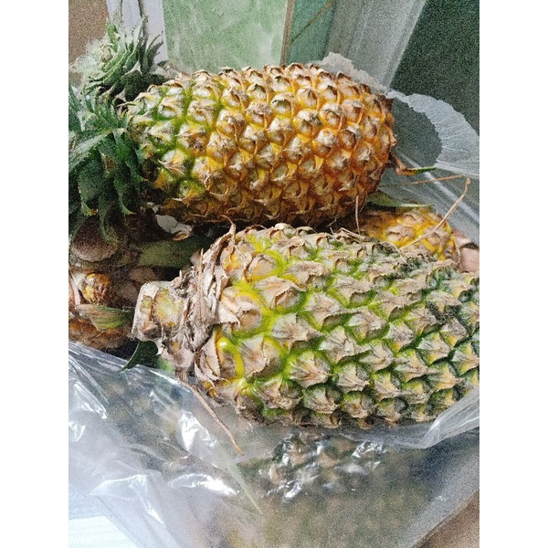 1kg bánh dứa vỏ mềm thơm bơ ăn là thích