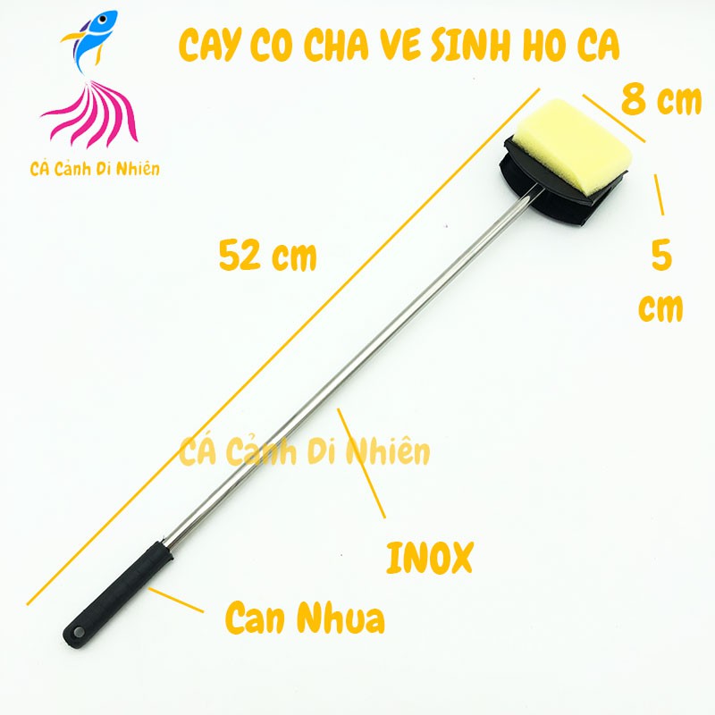 Cây cọ rửa vệ sinh chà bể hồ cá thủy sinh dài 52 cm