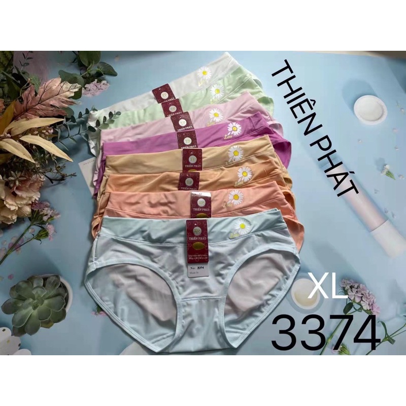 10 Quần lót nữ Thiện Phát (3374)